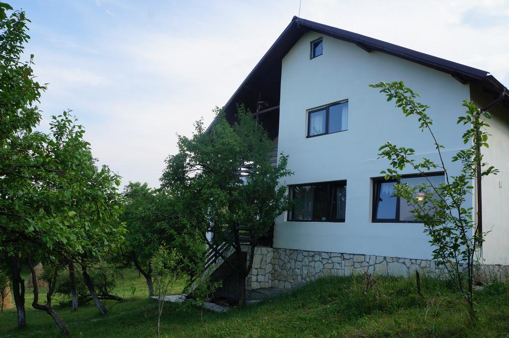Casa Paltinu Hotel Lunca Mare Kültér fotó